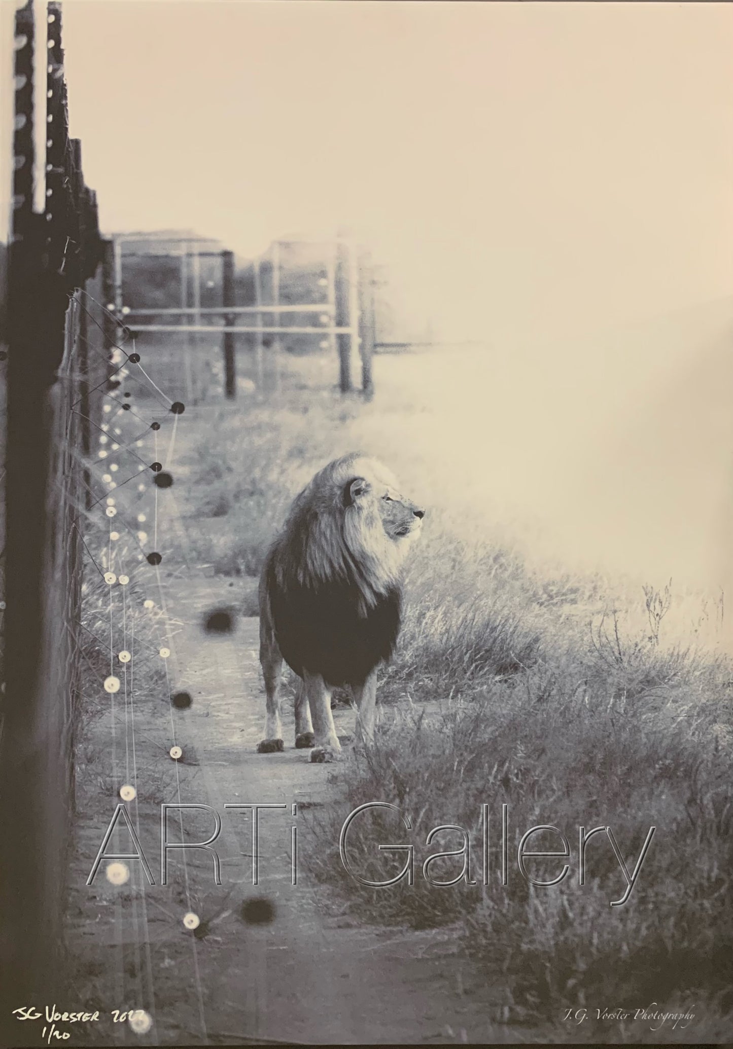 Photographic Print: Jan Vorster - A Higher Place