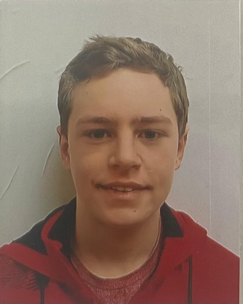 AGAC 2023 Primary School Category Finalist - Jonathan Coetzee - My Sunflowers