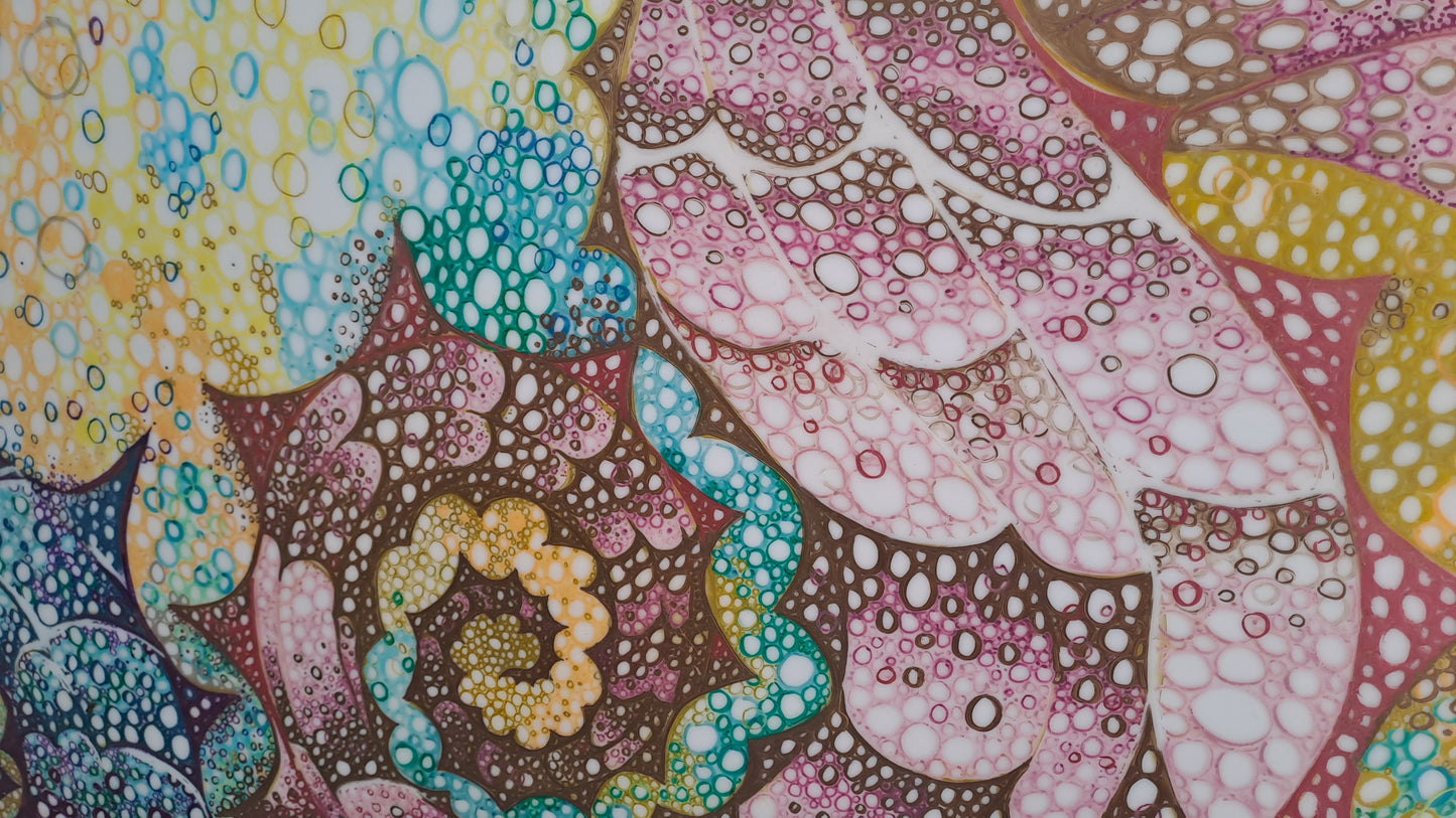 Original South African Art: Melody Potgieter - Let's Anchor
