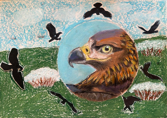 J-BAC 2025 -  Primary School Top 10 Finalist - Rossouw Ferreira - Endangered Black Harrier
