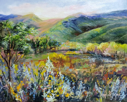 J-BAC 2025 -  Adult Top 15 Finalist - Carol Janse van Vuuren - Langkloof Landscape